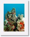 02-UnionIsland - 24